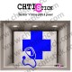 STICKER CADUCEE INFIRMIERE 3