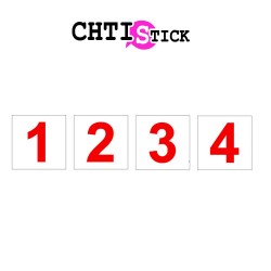 chtistick NUMÉRO FLOTTE VÉHICULE AMBULANCE