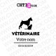 STICKERS VETERINAIRE PERSONNALISE