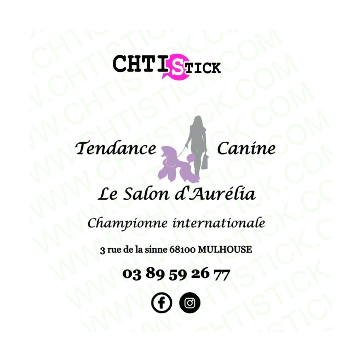 chtistick 2 autocollants Salon Aurélia