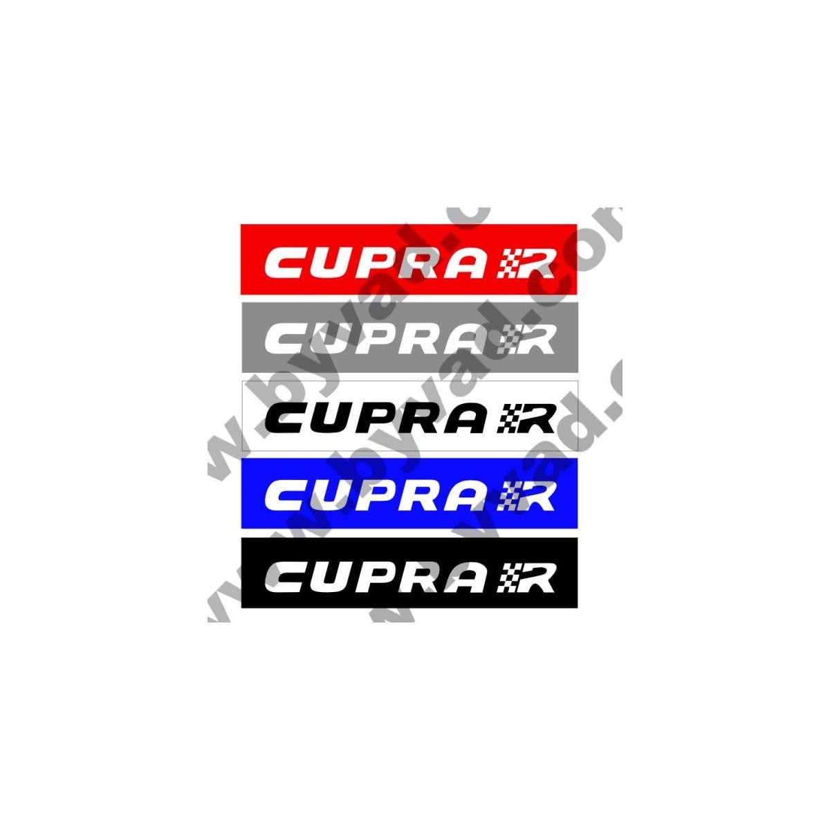 CACHE PLAQUE CUPRA R X 2