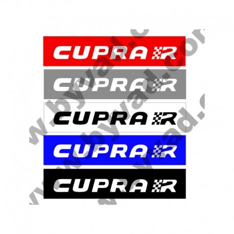 CACHE PLAQUE CUPRA R X 2