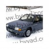 Stickers Latéraux BX Sport