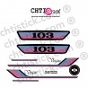Kit autocollants Peugeot 103 Vogue Rose