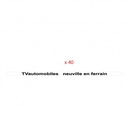 40 X PUBLICITE IMMATRICULATION