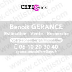 PUBLICITE VOITURE AGENCE IMMOBILIERE