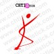 chtistick STICKER CADUCEE KINESITHERAPEUTE