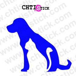 chtistick Autocollant vitrine vétérinaire