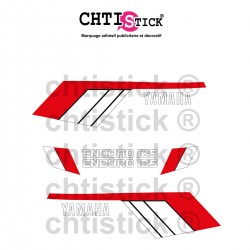 chtistick STICKERS YAMAHA 125 DTMX 79 RB